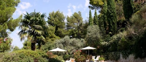 Outdoor pool, pool umbrellas, pool loungers