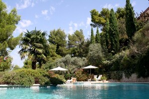 A pool surrounded by lush greenery and tall trees.