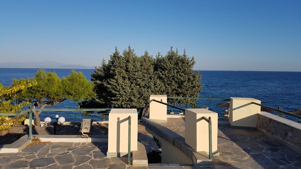 Una terraza empedrada con vistas al mar, un árbol y un cielo despejado.