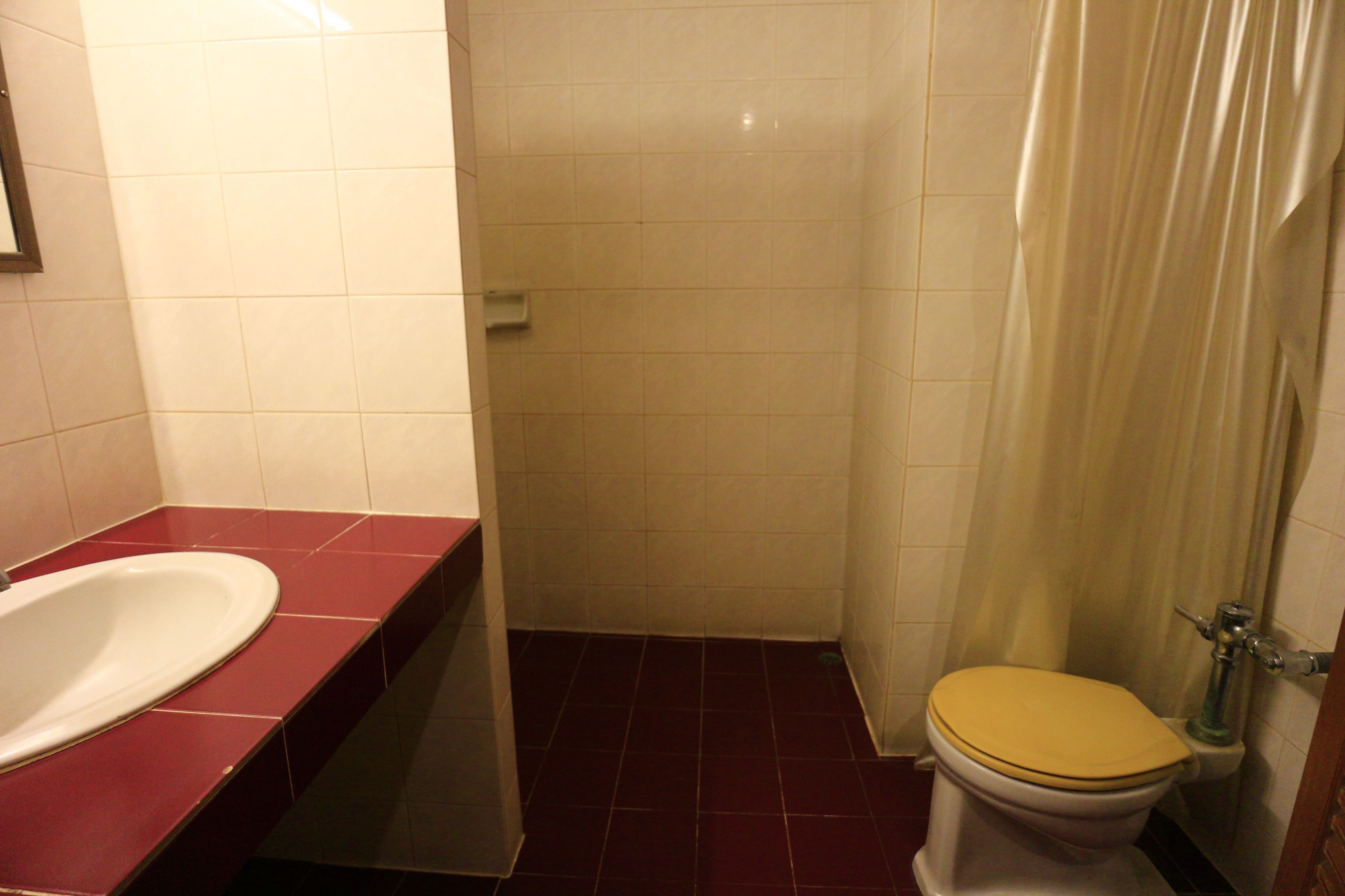 A bathroom with a white toilet, a red sink, and a shower curtain.