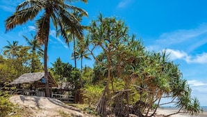 Een strand met palmbomen en een houten constructie.