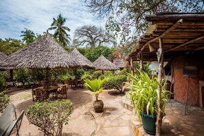 Property grounds - Capricorn Beach Cottages (Pangani)