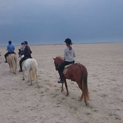 Perto da praia, areia branca