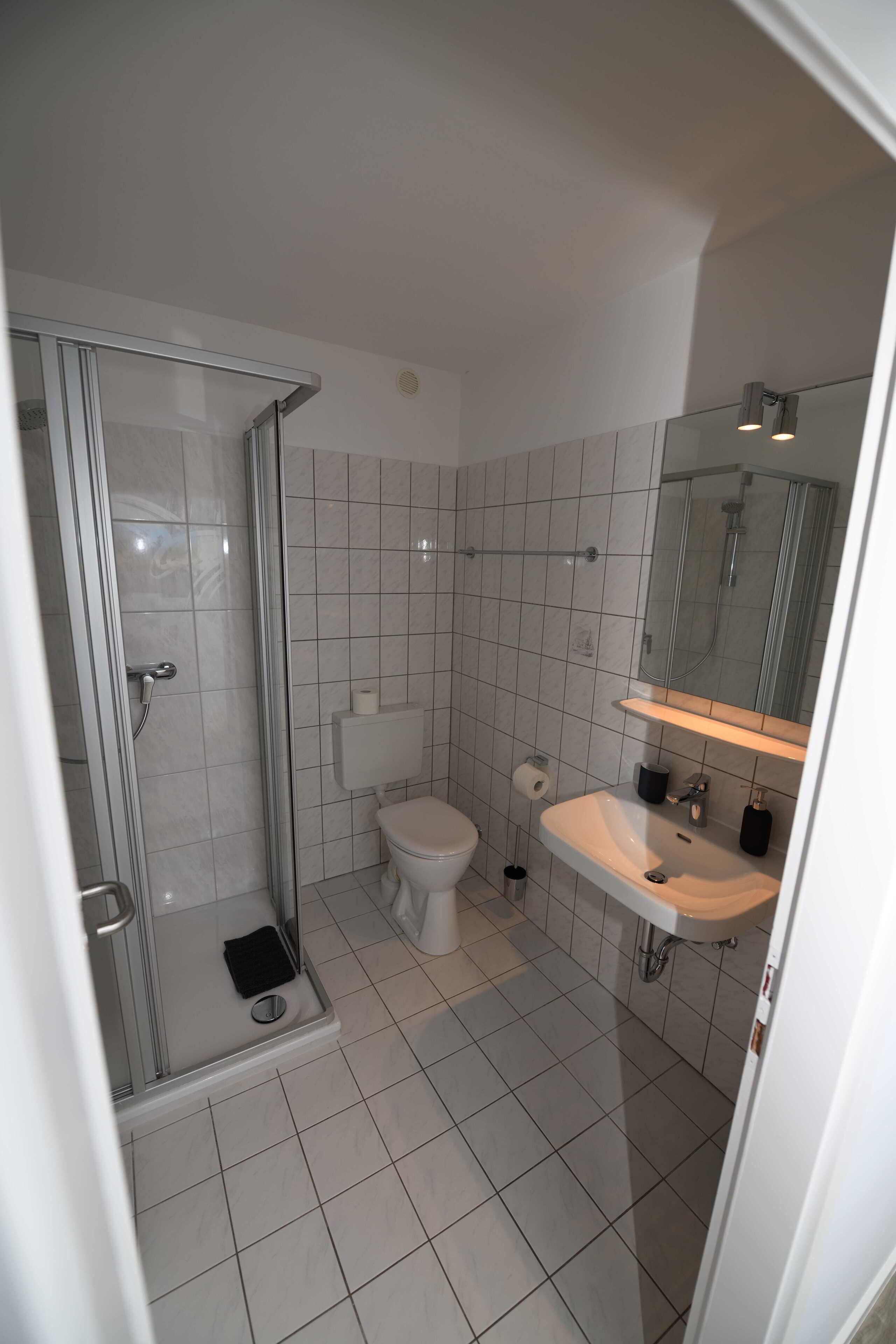 A bathroom with a glass shower enclosure, a toilet, and a sink with a mirror above it.