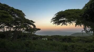 Paisagem natural com vegetação densa e céu claro.