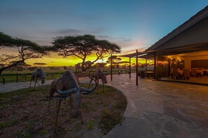 Property grounds - Serengeti Sametu Camp (Serengeti)