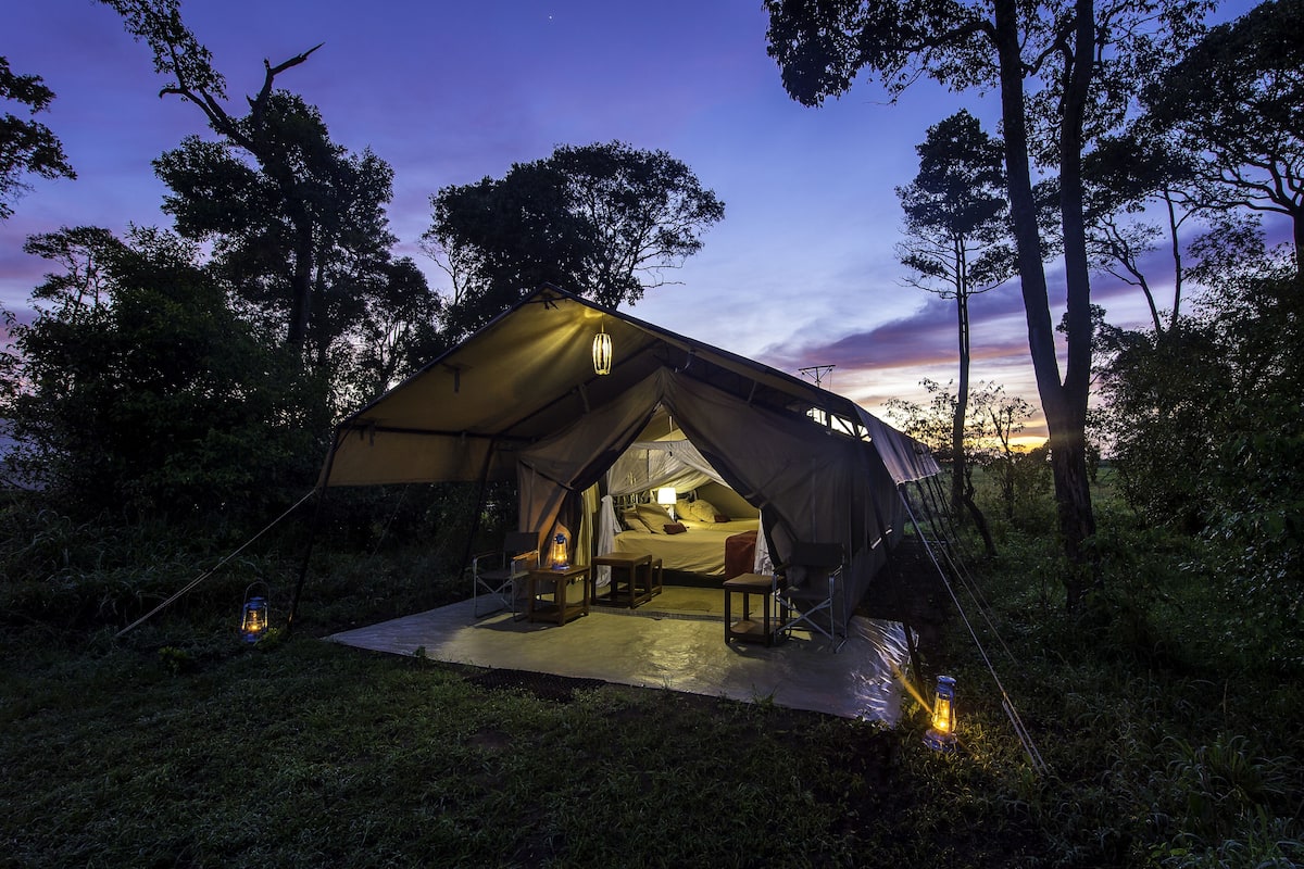 A tent with a bed, a table, and a chair inside, surrounded by trees.