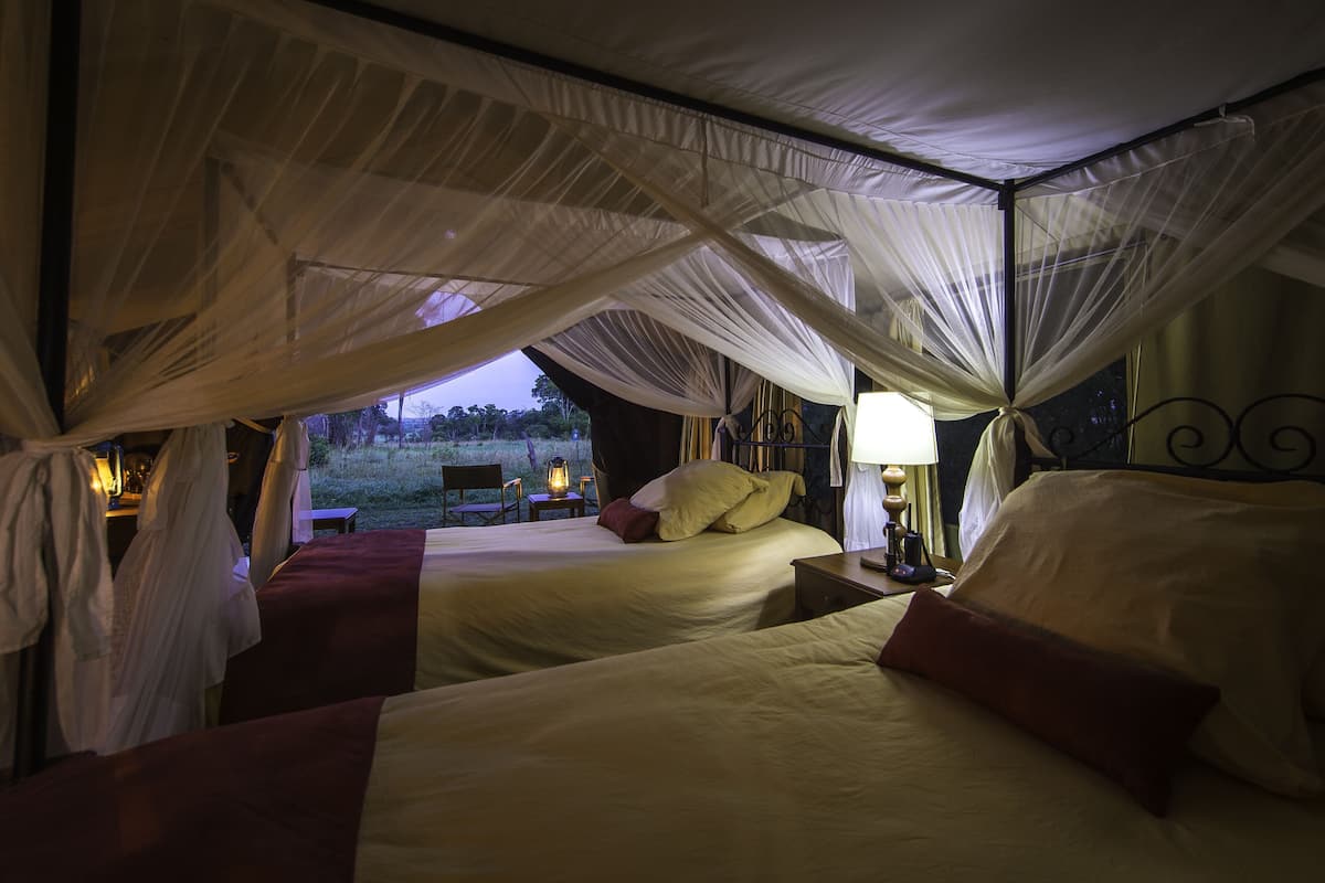 A room with two beds, a canopy, a nightstand with a lamp, and a view of the outdoors.