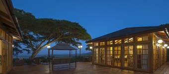 Ngorongoro Lions Paw