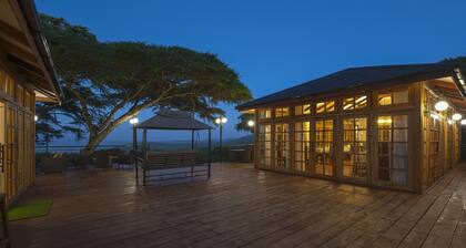 Ngorongoro Lions Paw