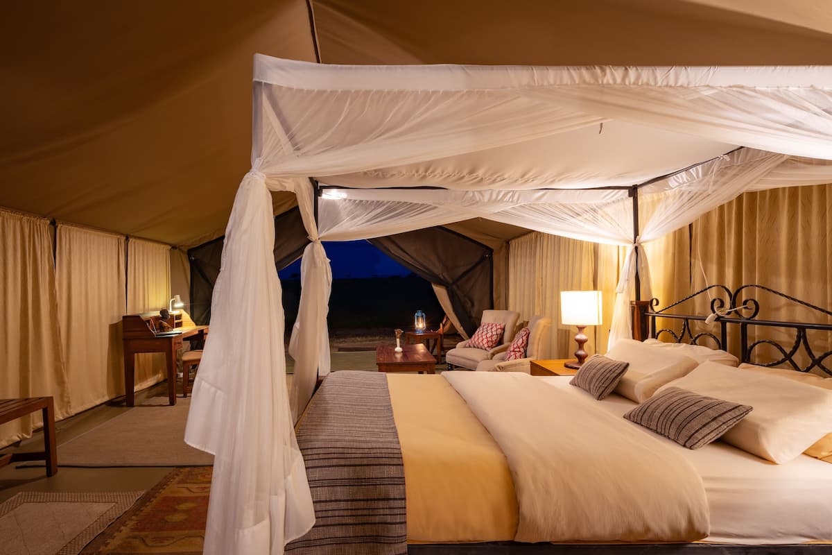 Luxury Tent Single/Double | Gratis wifi, beddengoed