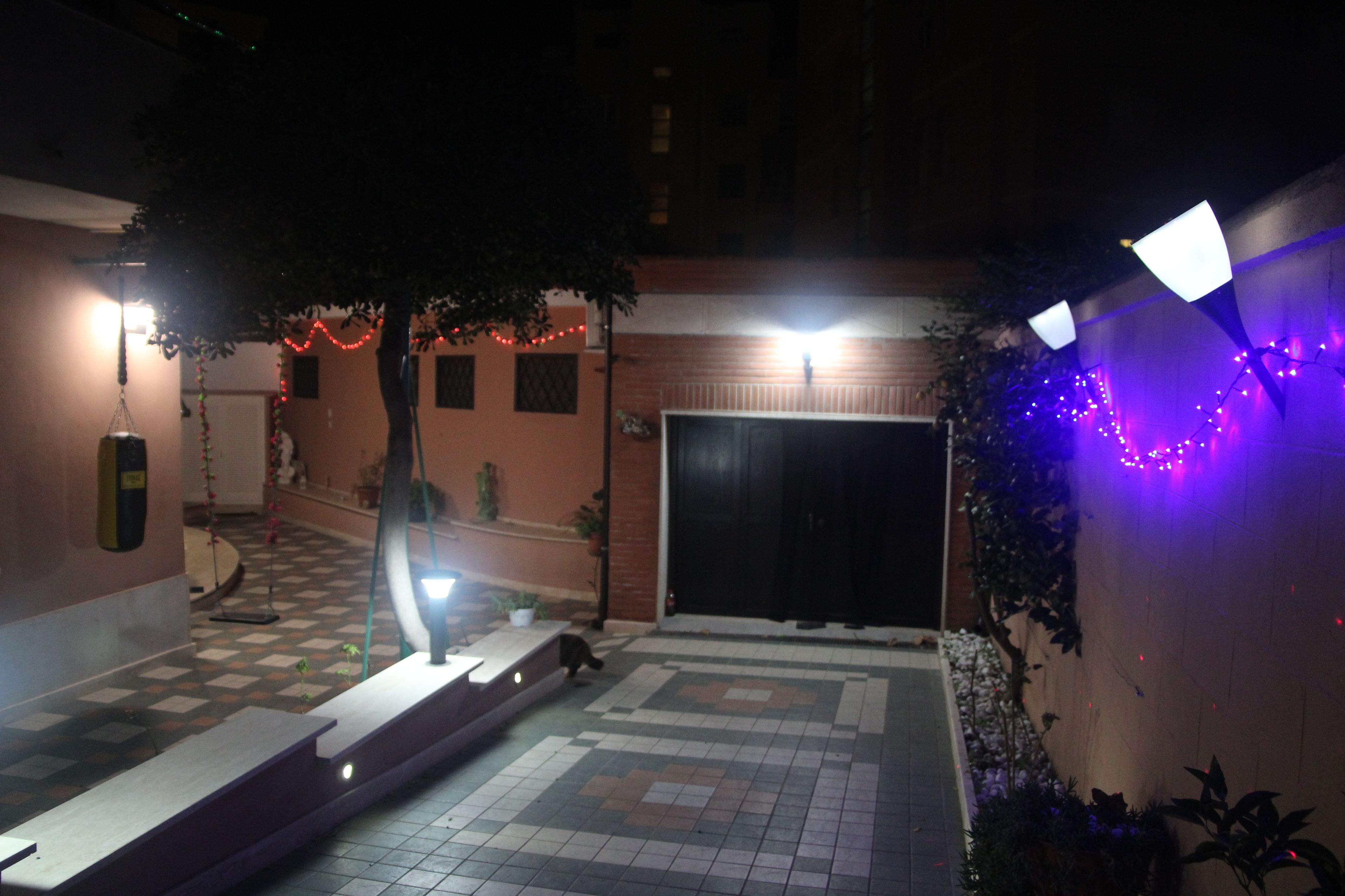 A nighttime view of a building's entrance with a tiled pathway leading to a door, a tree, and decorative lights.