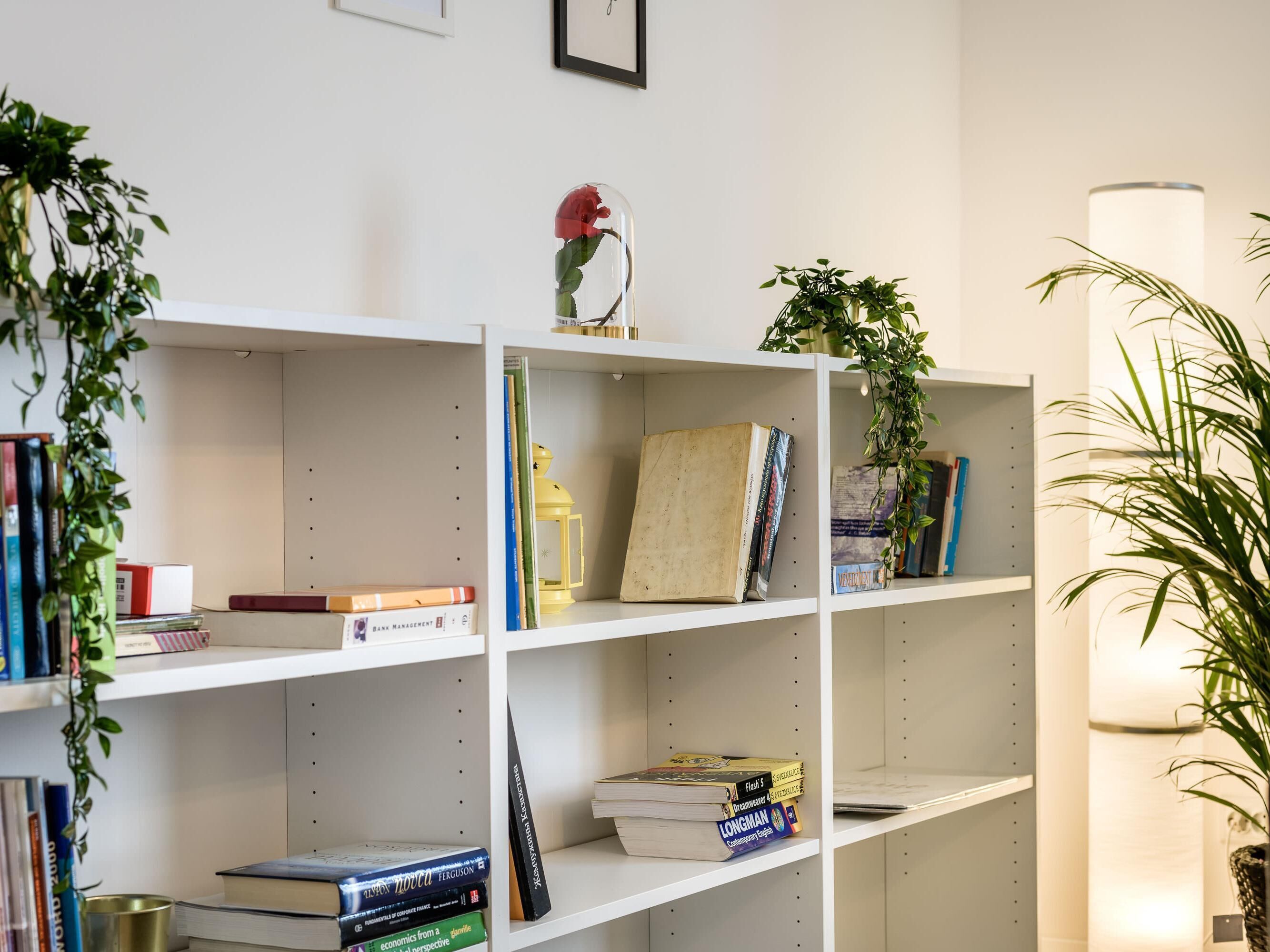 Una estantería con libros y objetos decorativos.