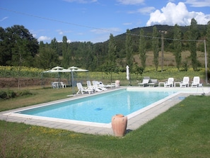 Outdoor pool, pool umbrellas, pool loungers