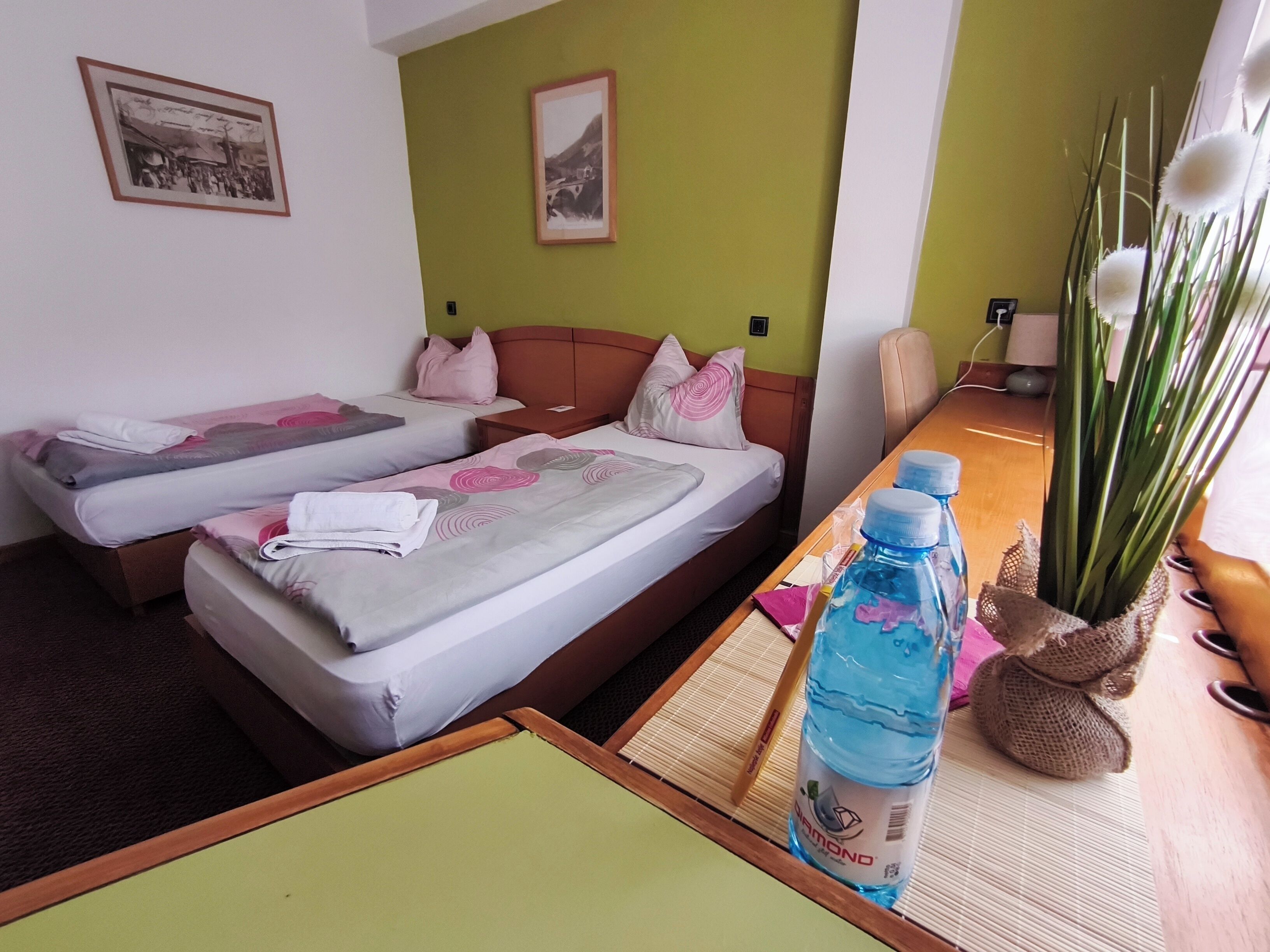 Basic Twin Room, 2 Single Beds, Non Smoking, City View | Desk, free WiFi