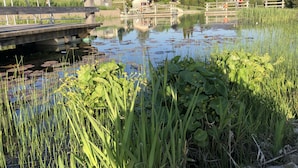 A serene lakeside view with a wooden bridge, houses in the background, and lush greenery. - Hotel-Gasthof zum Bach (Neukirchen Beim Heiligen Blut)