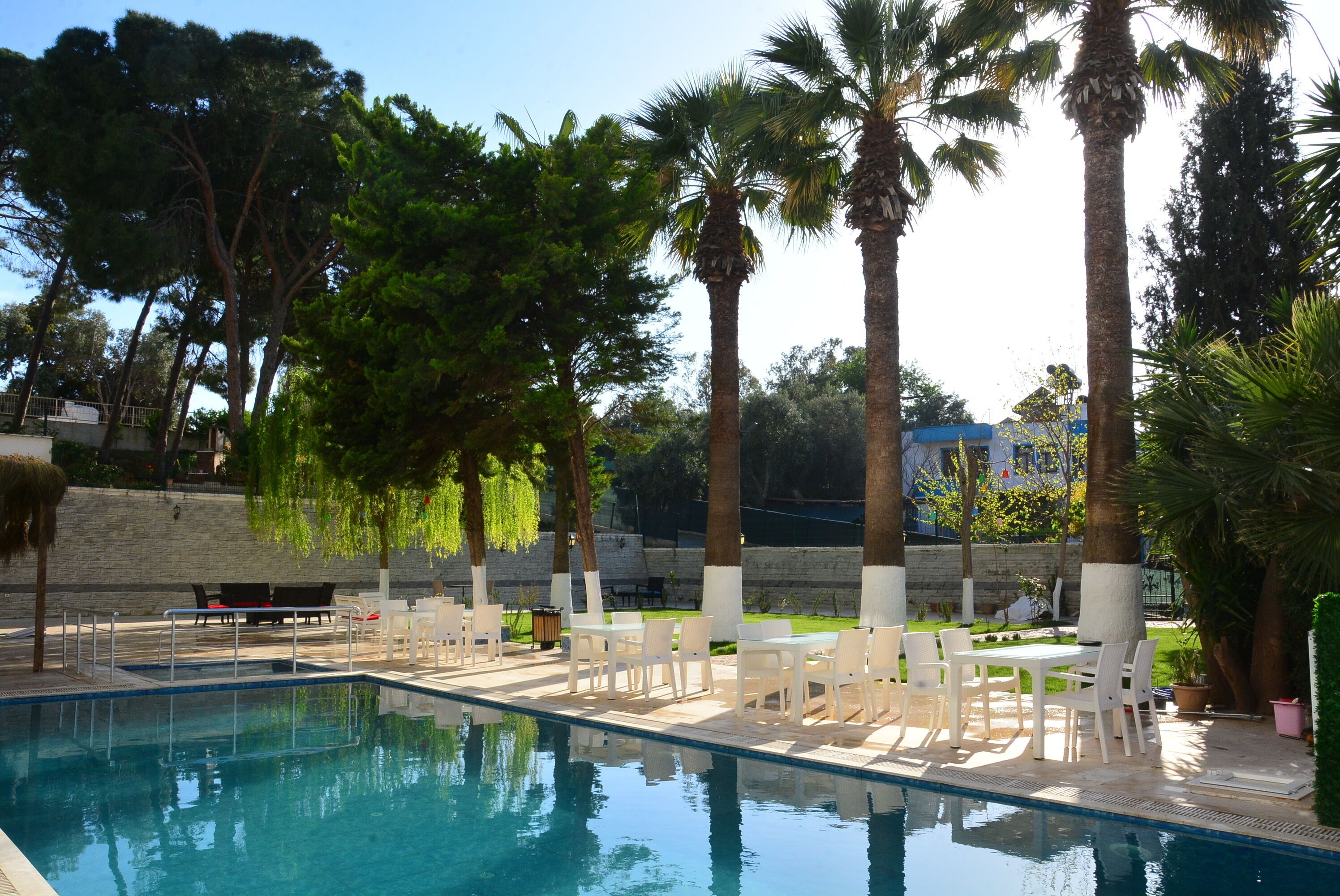 A swimming pool with white lounge chairs and tables, surrounded by palm trees and a stone wall.