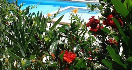 Camping Les Rives d'Auzon