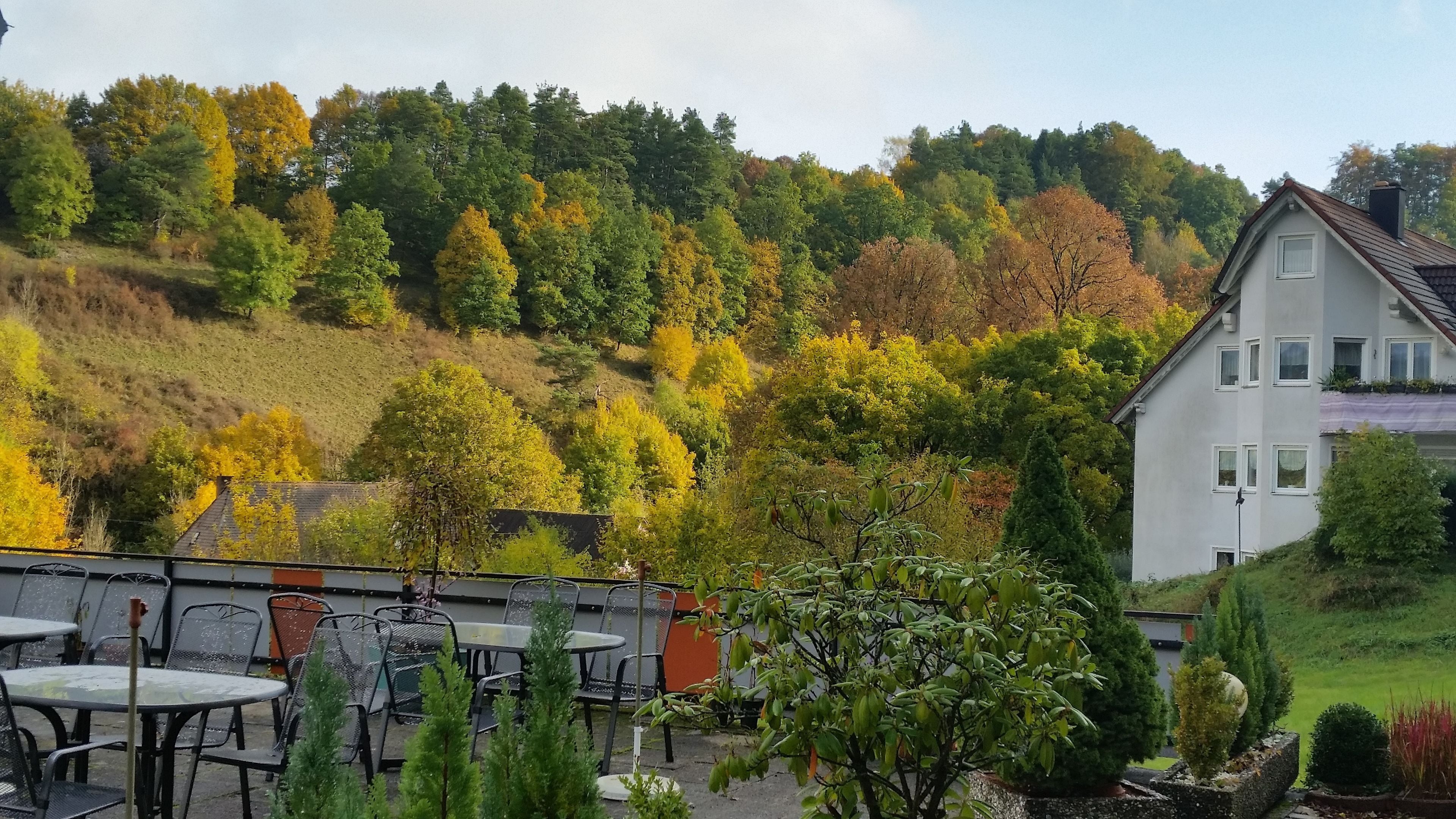 An outdoor seating area with tables and chairs, surrounded by trees and a hillside.