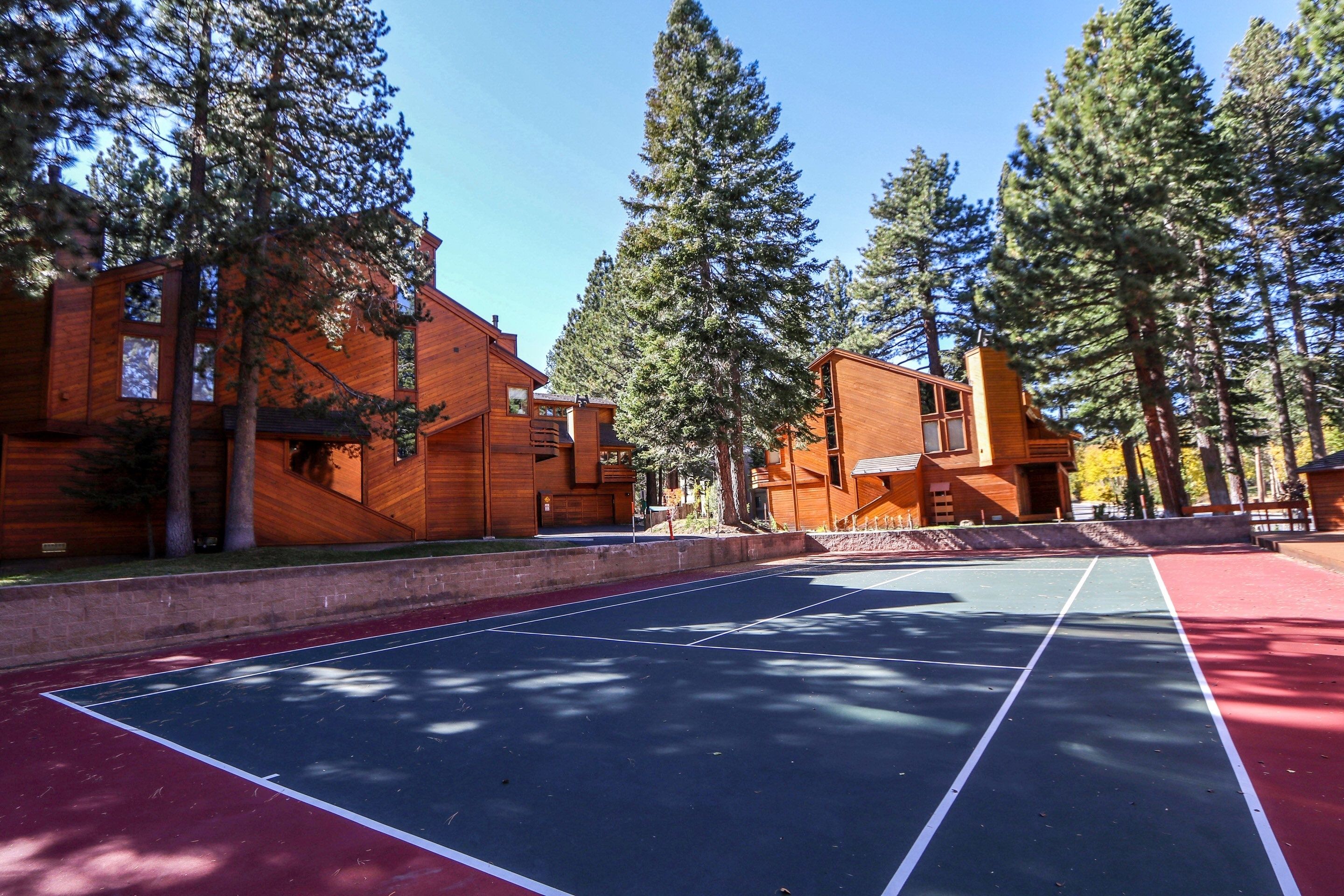 Un court de tennis avec un chalet en bois situé dans une zone boisée.
