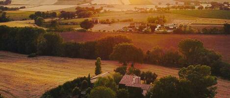 Aerial view