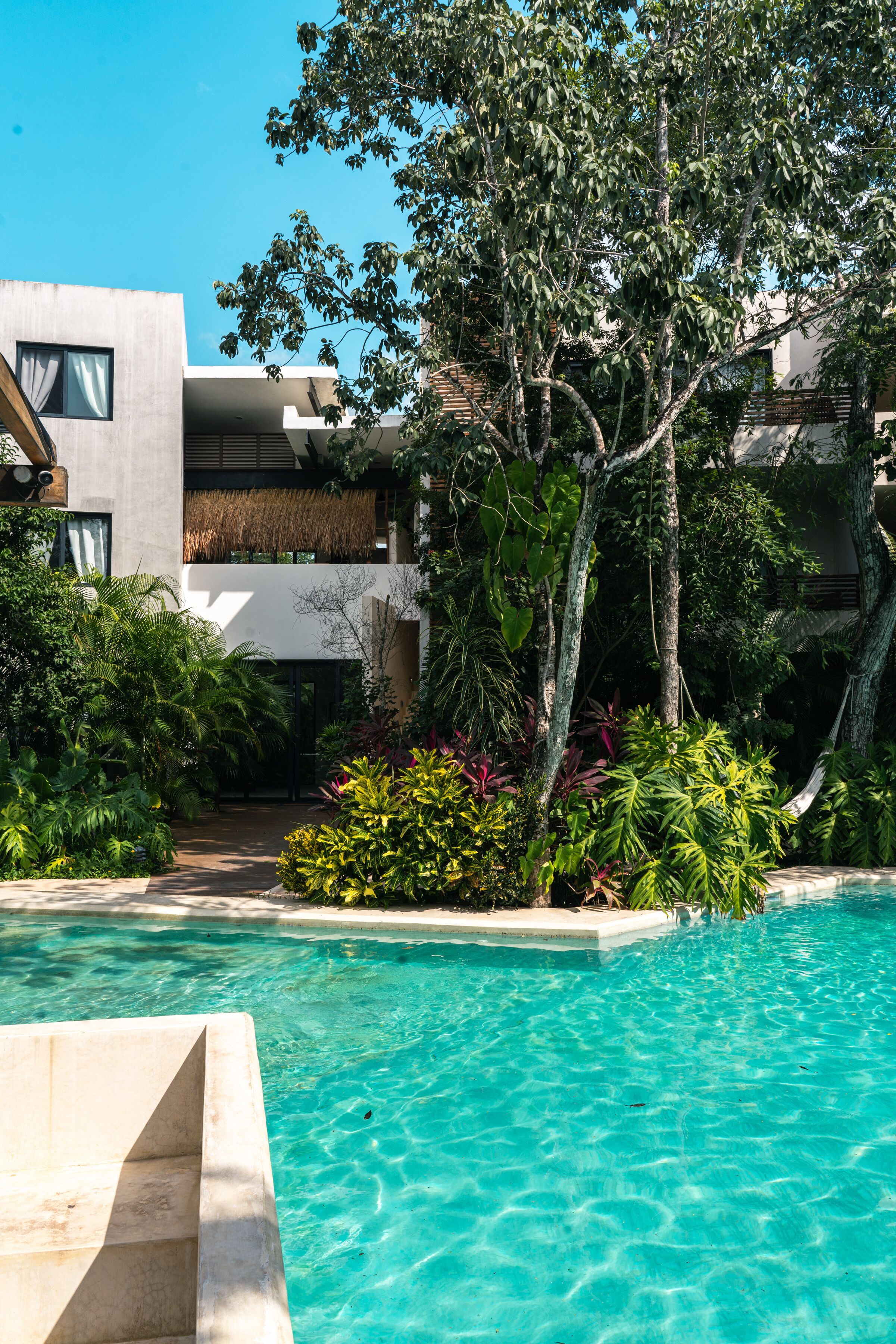A modern pool area with clear blue water, surrounded by lush greenery and contemporary architecture.