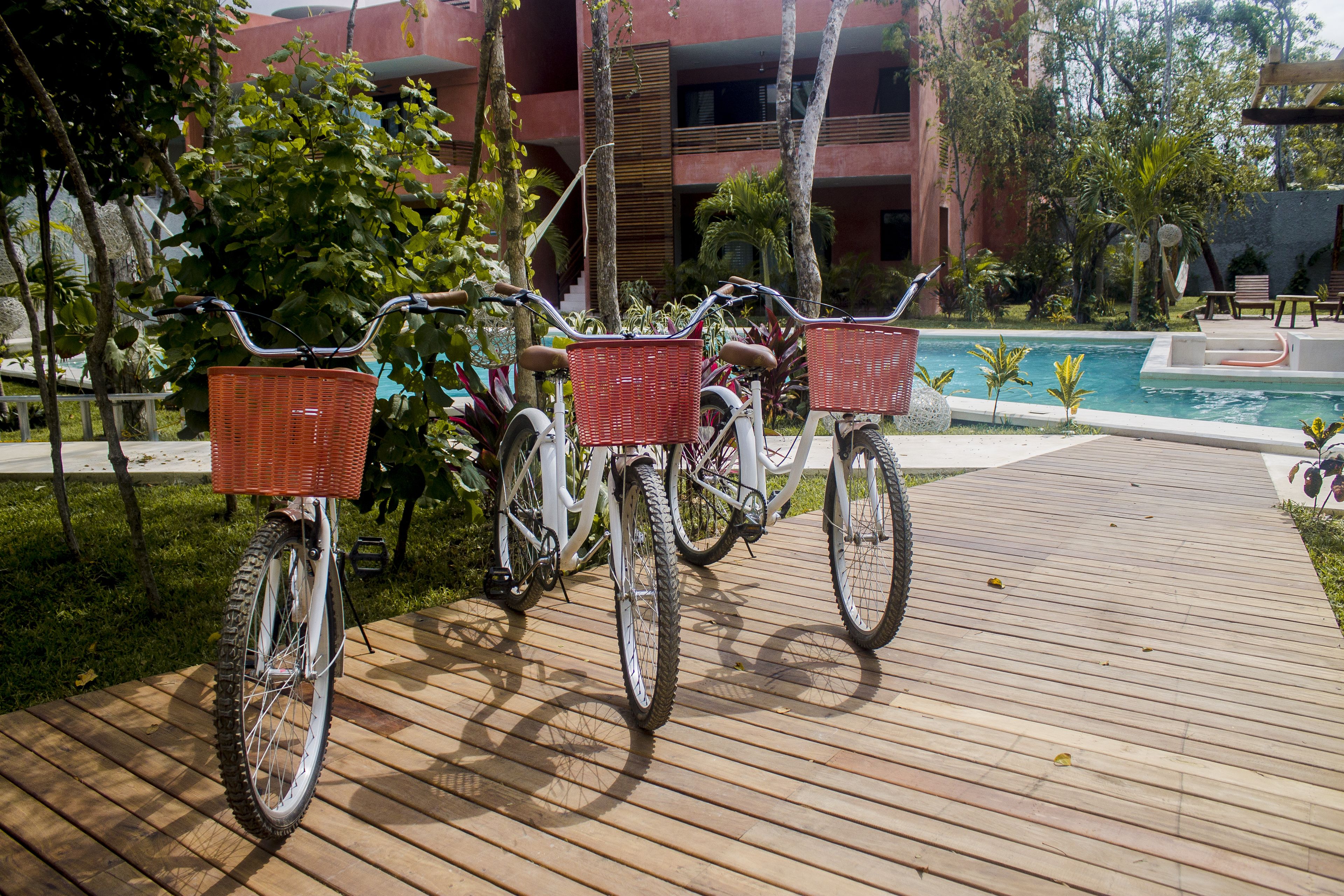 Bicicletes amb cistelles aparcades sobre un pont de fusta a prop d'una piscina, envoltades de vegetació i un edifici al fons.