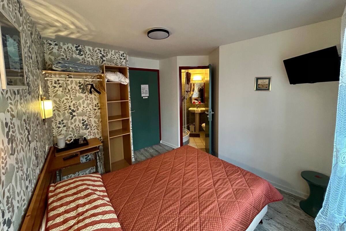 A room with a bed, a wardrobe, a mirror, a sink, and a toilet.