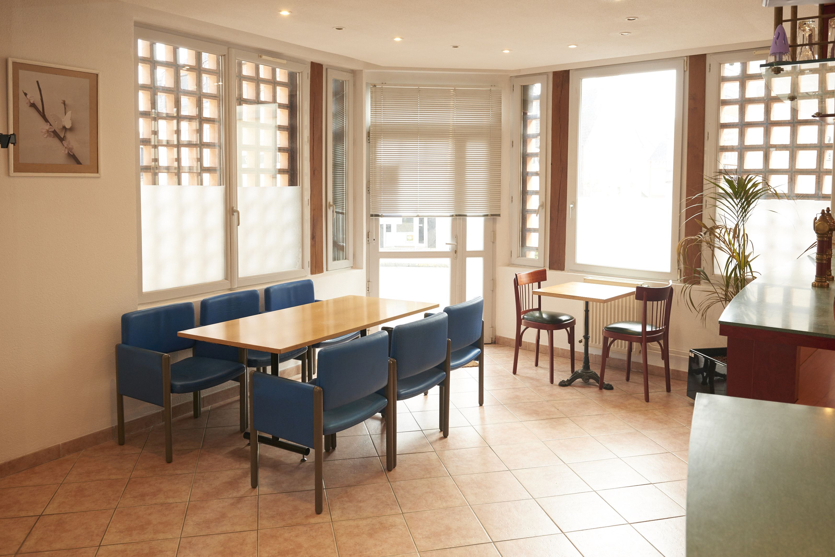 Un comedor con mesa de madera y sillas azules, ventanas grandes con persianas y una planta a la derecha.