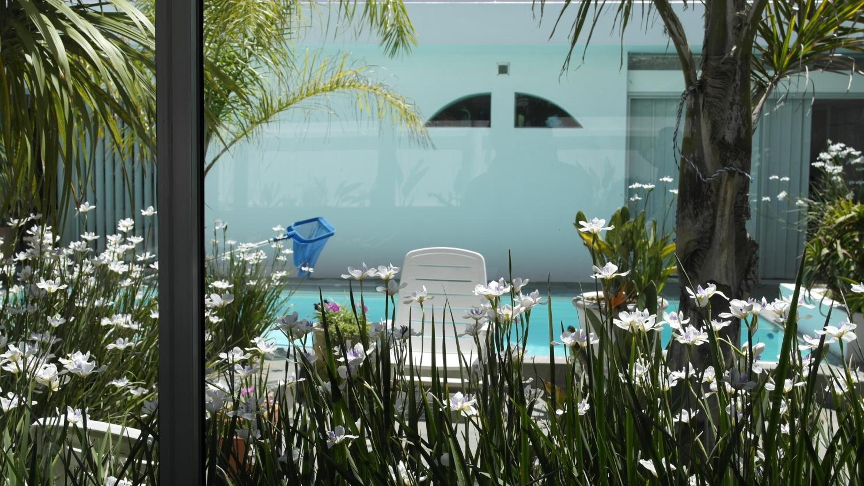 A pool area with a chair and a blue net.