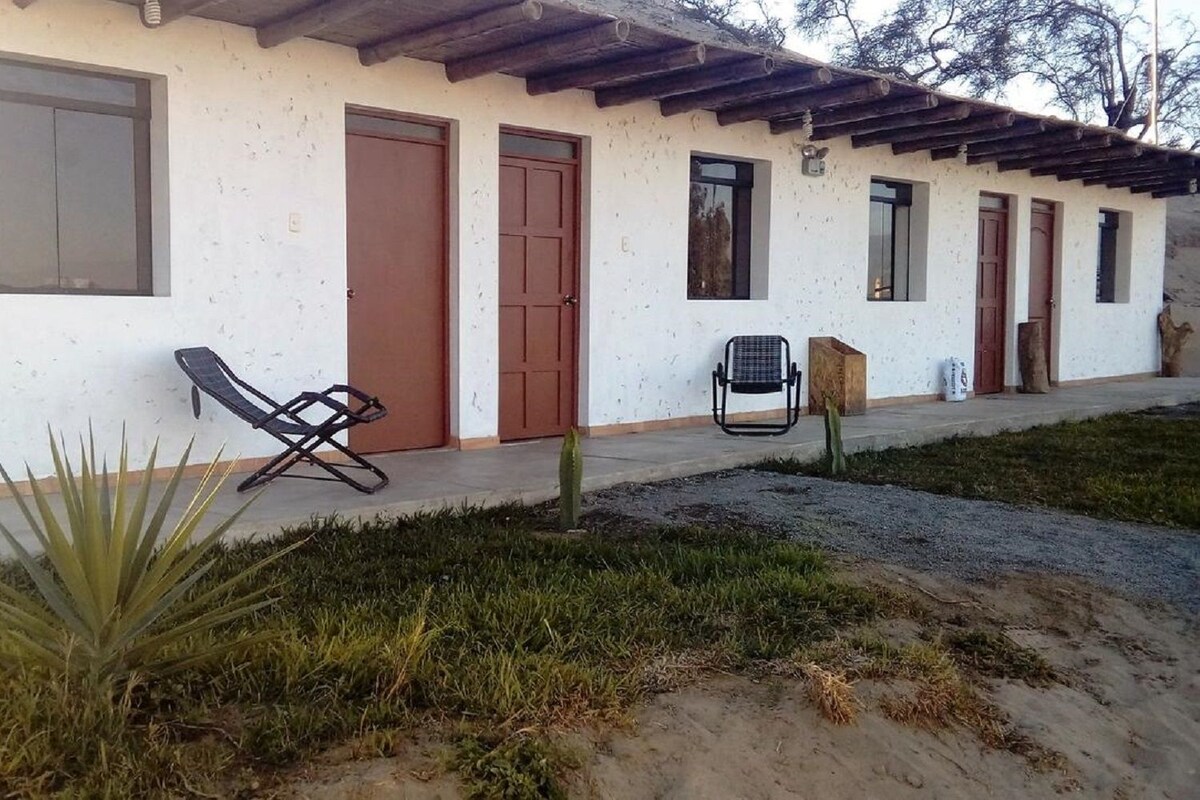 Escrivaninha, Wi-Fi de cortesia