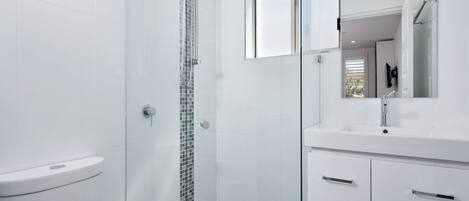 A modern bathroom with a glass shower enclosure, a white sink, and a mirror above the vanity.