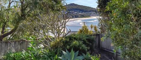 A coastal landscape with a view of the beach and ocean, surrounded by lush greenery and a wooden fence.