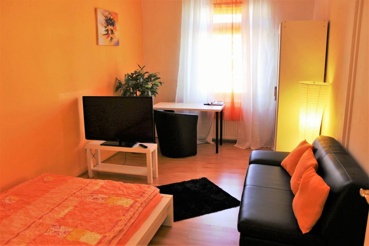 Una habitación compacta con cama, sofá, escritorio, televisor y una planta.