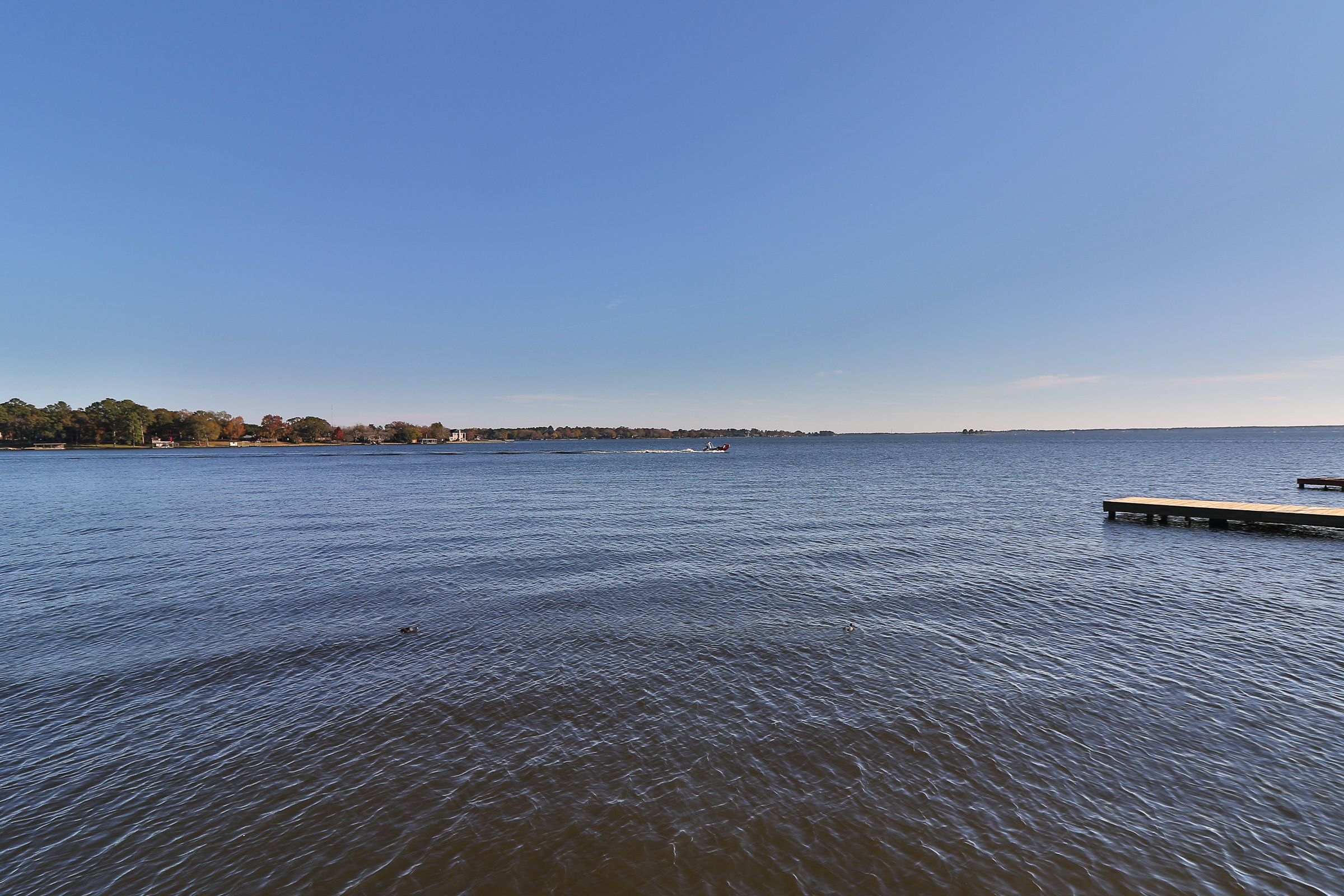 signature condo, 1 bedroom, balcony, lake view | lake view