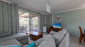 Televisor 