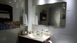 Combined shower/tub, hair dryer, bidet