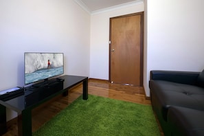 Ein Wohnzimmer mit einem Flachbildfernseher auf einem Standfuß, einer dunkelgrauen Couch, Holzboden und einem grünen Teppich.