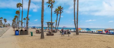 ハウス ベッド (複数台) (Our Ocean View) | ビーチ