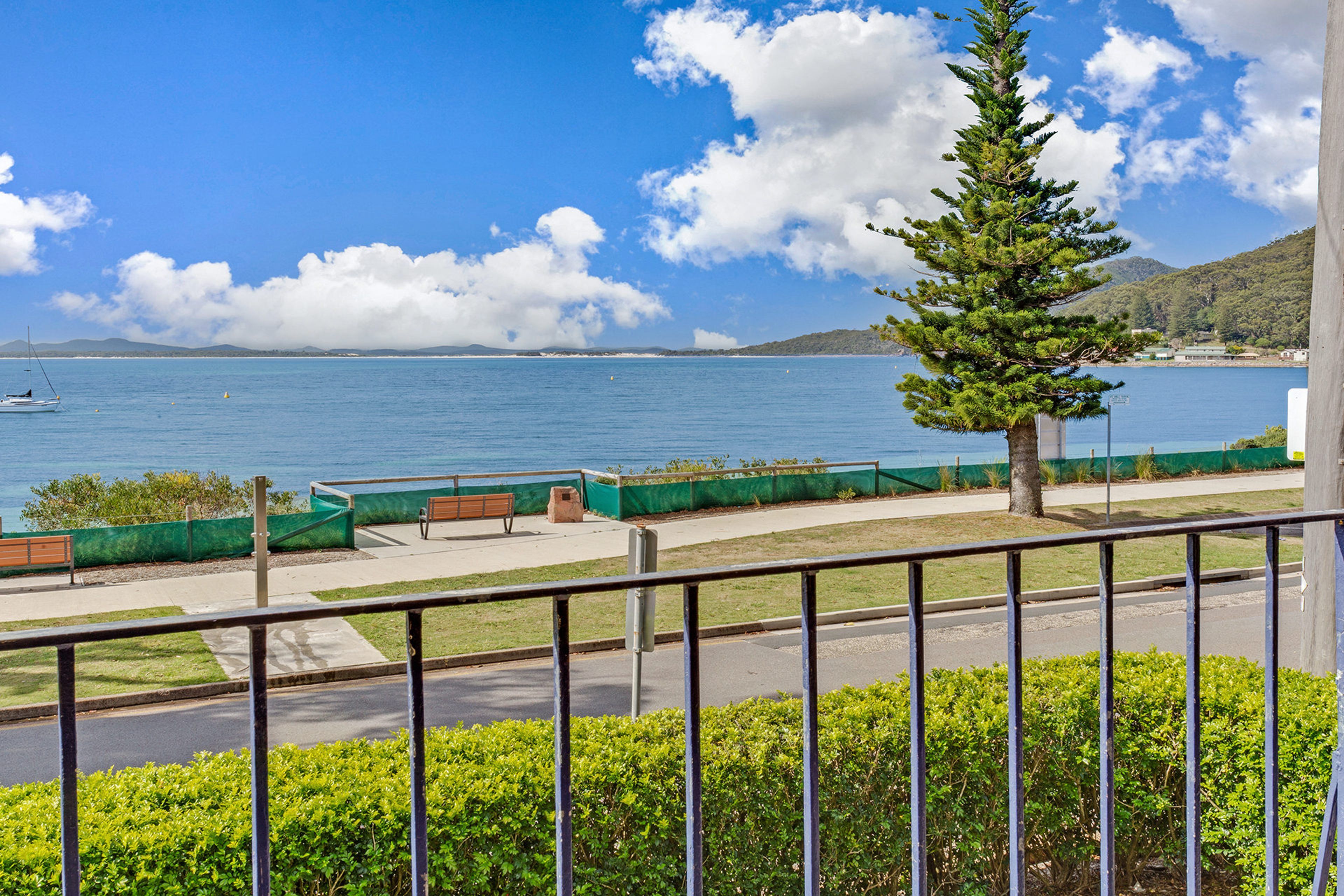 A coastal view with a clear sky, a bench, and a tree in the foreground.