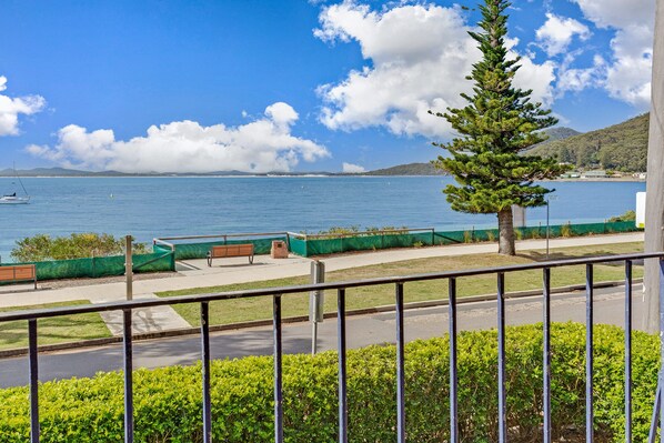 A coastal view with a clear sky, a bench, and a tree in the foreground.