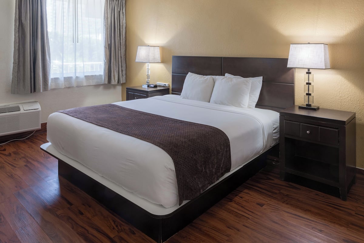 Habitación individual Confort, 1 cama de matrimonio grande, no fumadores | Caja fuerte, escritorio, cortinas opacas y sistema de insonorización