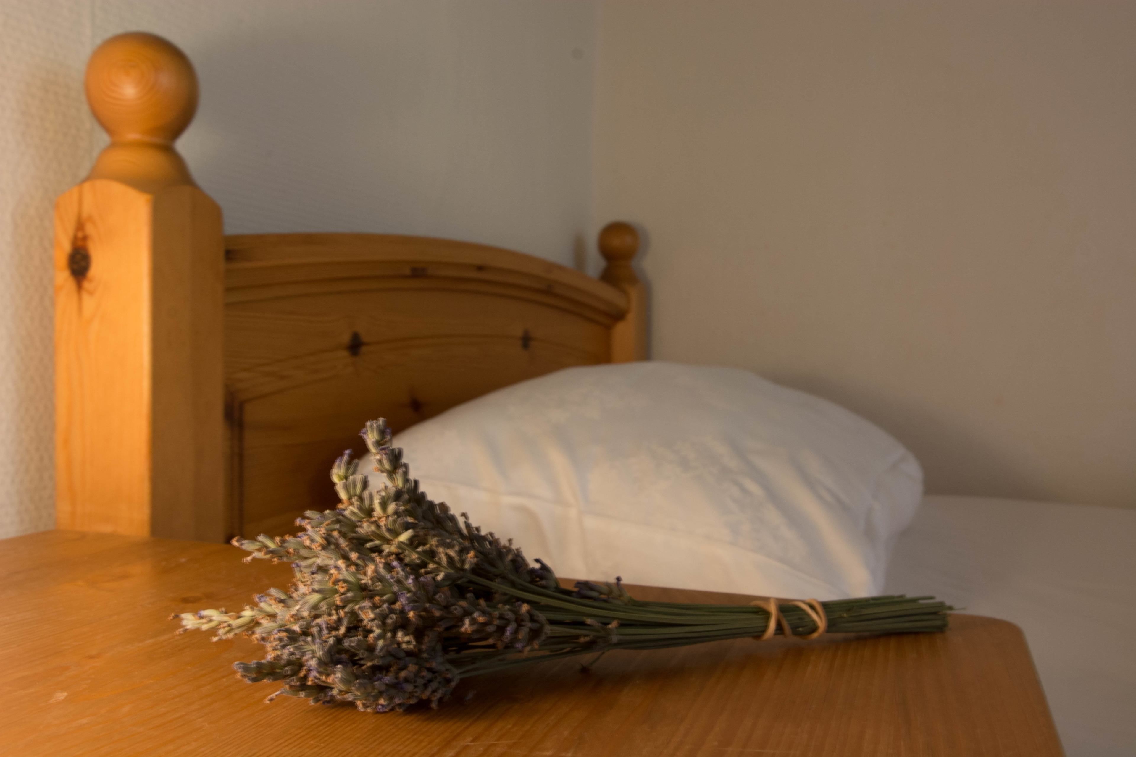 A wooden bed with a headboard, a white pillow, and a bunch of dried lavender flowers on a wooden table.