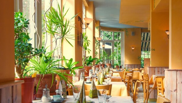 Ein Restaurant mit gedeckten Tischen, umgeben von Topfpflanzen und großen Fenstern.