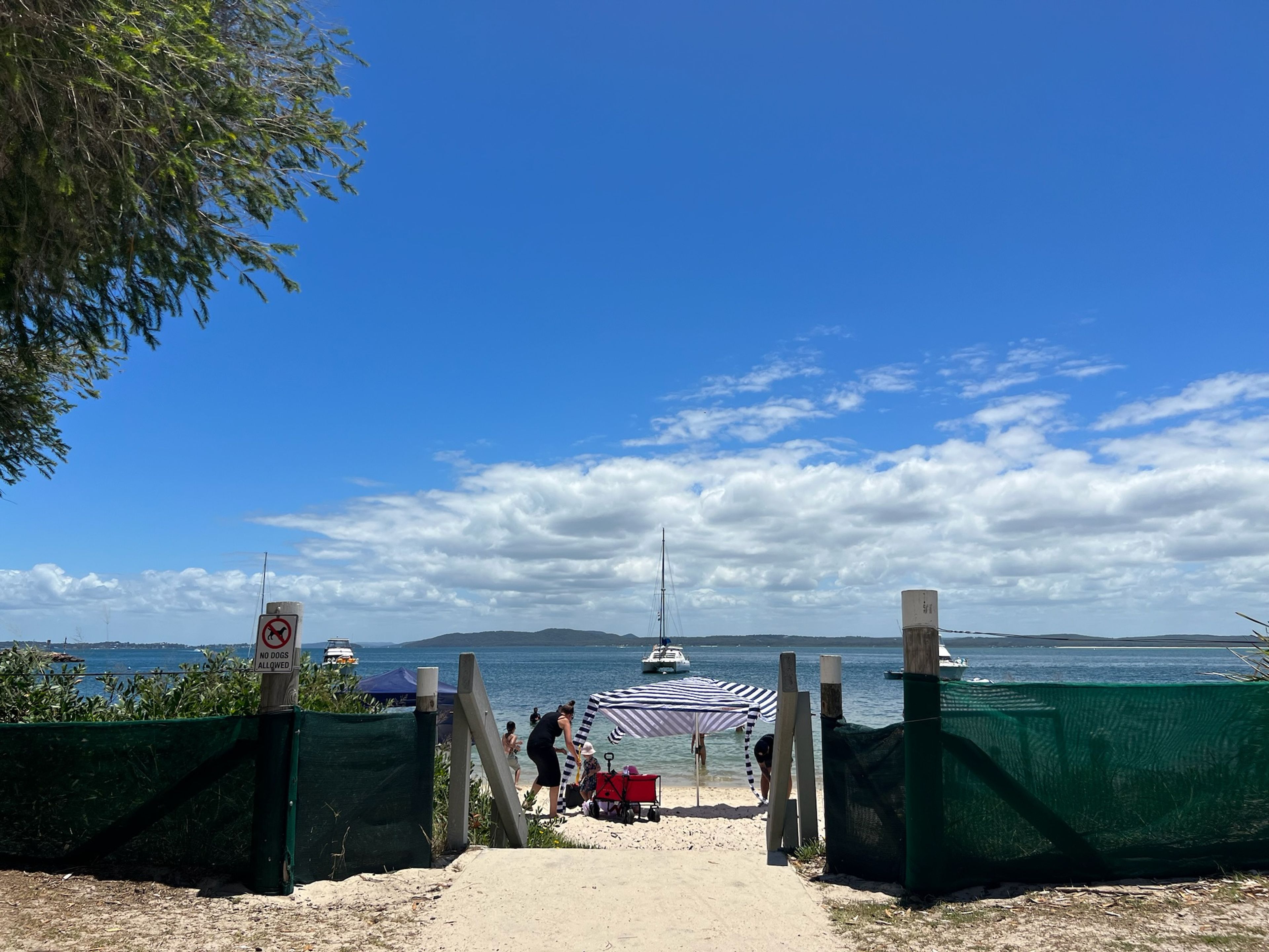 Una entrada a la playa con un cartel que prohíbe perros, un sendero arenoso que conduce al agua y una sombrilla a rayas que ofrece sombra.