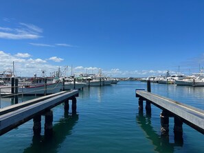 A marina with multiple boats docked, wooden piers, and calm water.