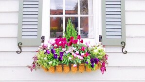 A window with white shutters and a flower box below it.