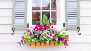 A window with white shutters and a flower box below it. - 69B Spring Street - 2 BR / 1 BA Holiday home 2 (Charleston)