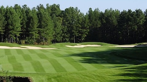En golfbane med velplejede fairways og sandbunkere, omgivet af tæt skov.