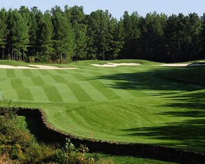 House (maximum occupancy 36) | Golf - Home Theater Lodge Holiday home 8 (Sevierville)